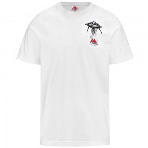 Men Kappa Authentic Graphik Lamar T-Shirt White | NH3948275