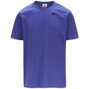 Men Kappa Authentic Tayloryx T-Shirt Purple | UP4503129