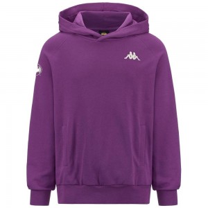 Men Kappa Authentic Zeus Warner Bros Hoodie Purple | DK7961530