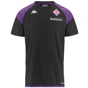 Men Kappa Ayba 7 Fiorentina T-Shirt Grey | WE3409175