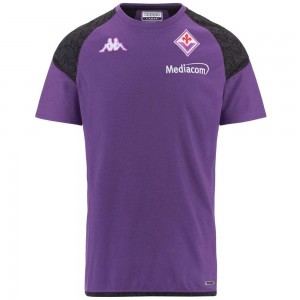 Men Kappa Ayba 7 Fiorentina T-Shirt Purple | TP8501463