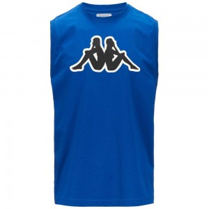 Men Kappa Logo Dwal T-Shirt Blue | HY5091647