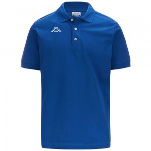 Men Kappa Logo Holiver Mss Polo Shirt Blue | DG8943726