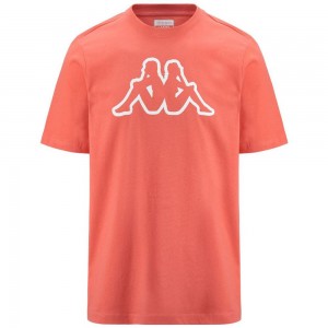 Men Kappa Logo Korpo Cromen T-Shirt Orange | LH6013542