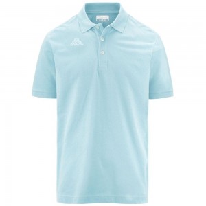 Men Kappa Logo Life Mss Polo Shirt Blue | AF1780693