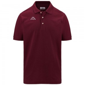 Men Kappa Logo Life Mss Polo Shirt Red | DH6857914