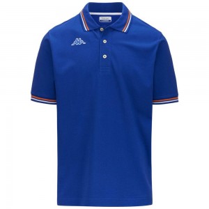 Men Kappa Logo Maltax 5 Mss Polo Shirt Blue | GM3159426