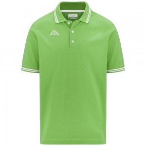 Men Kappa Logo Maltax 5 Mss Polo Shirt Green | JG1305827