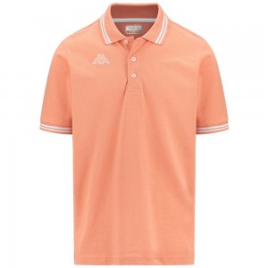 Men Kappa Logo Maltax 5 Mss Polo Shirt Orange | CI0437269