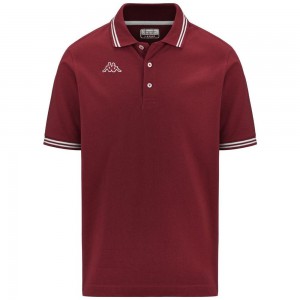 Men Kappa Logo Maltax 5 Mss Polo Shirt Red | KR3905468