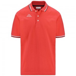 Men Kappa Logo Maltax 5 Mss Polo Shirt Red | SQ7985613