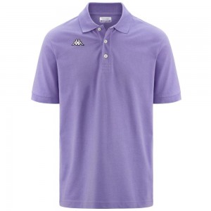 Men Kappa Logo Sharas Mss Polo Shirt Purple | ZC0387514