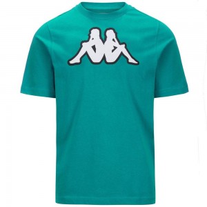 Men Kappa Logo Zobi T-Shirt Green | EF2814970