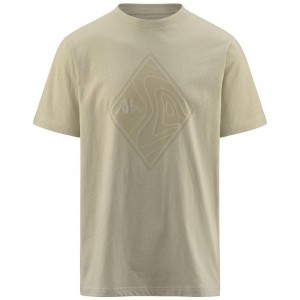 Men Kappa Nigraph T-Shirt Beige | WX1638495