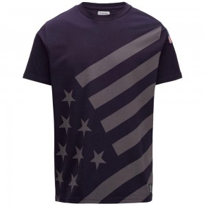 Women Kappa Ayba2 Flag Us T-Shirt Grey | QS9364107