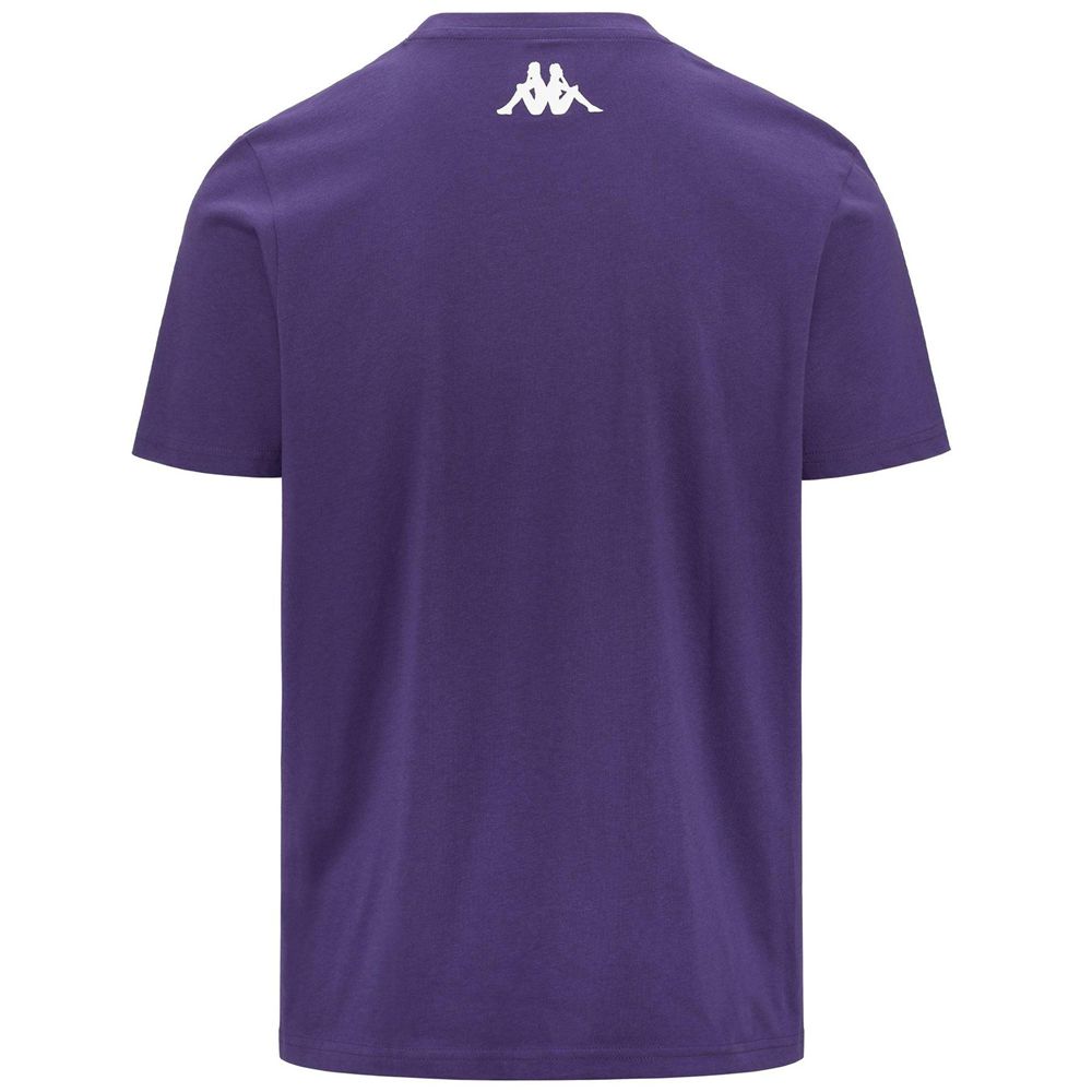 Men Kappa 4 Training Brizzo T-Shirt Purple | ZH5918430