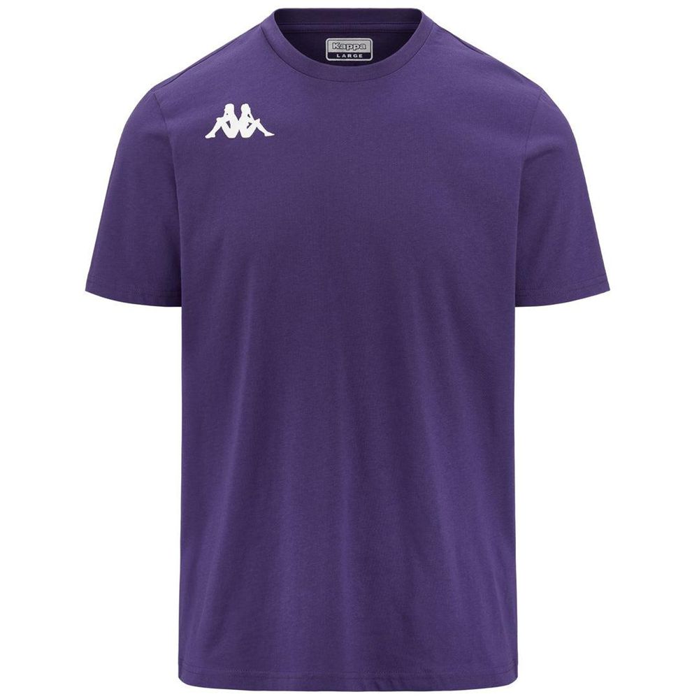 Men Kappa 4 Training Brizzo T-Shirt Purple | ZH5918430