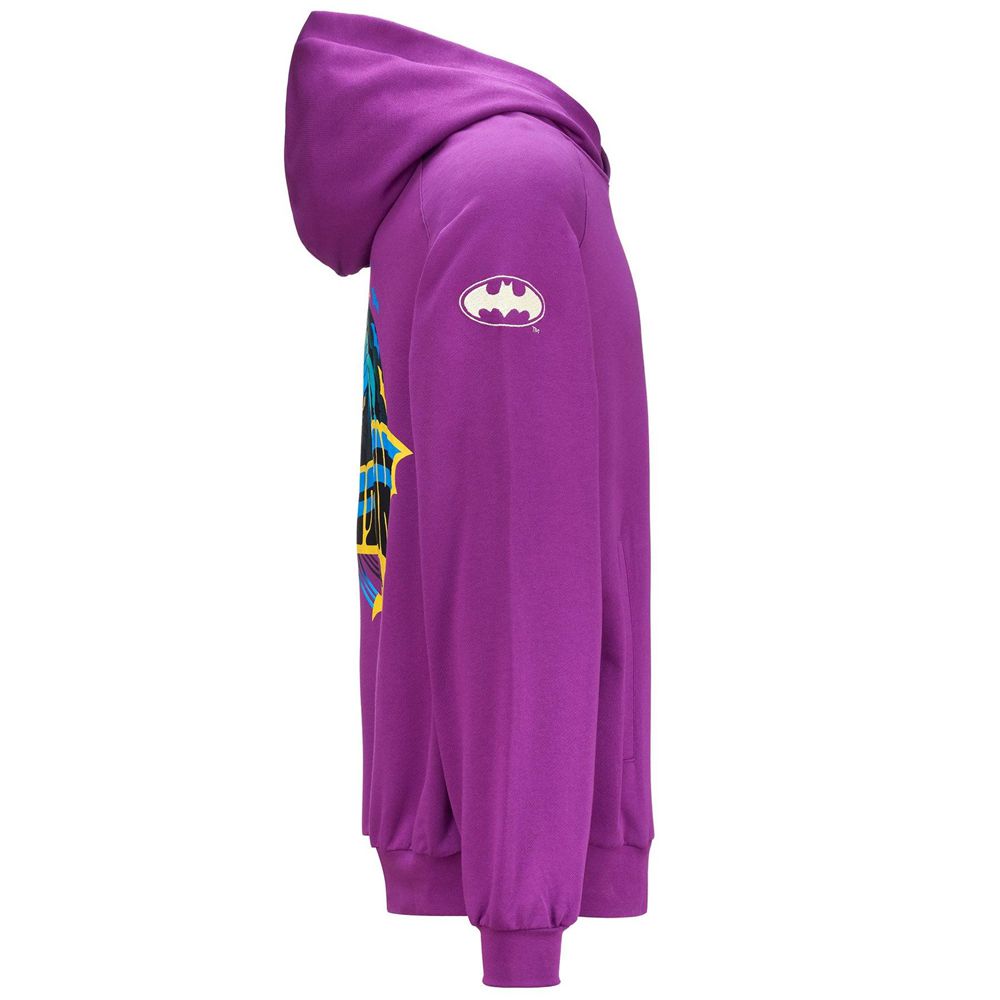 Men Kappa Authentic Zefiro Warner Bros Hoodie Purple | HI2813697