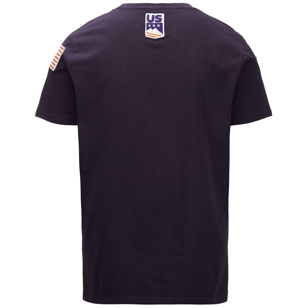 Men Kappa Ayba2 Flag Us T-Shirt Grey | GD3750689