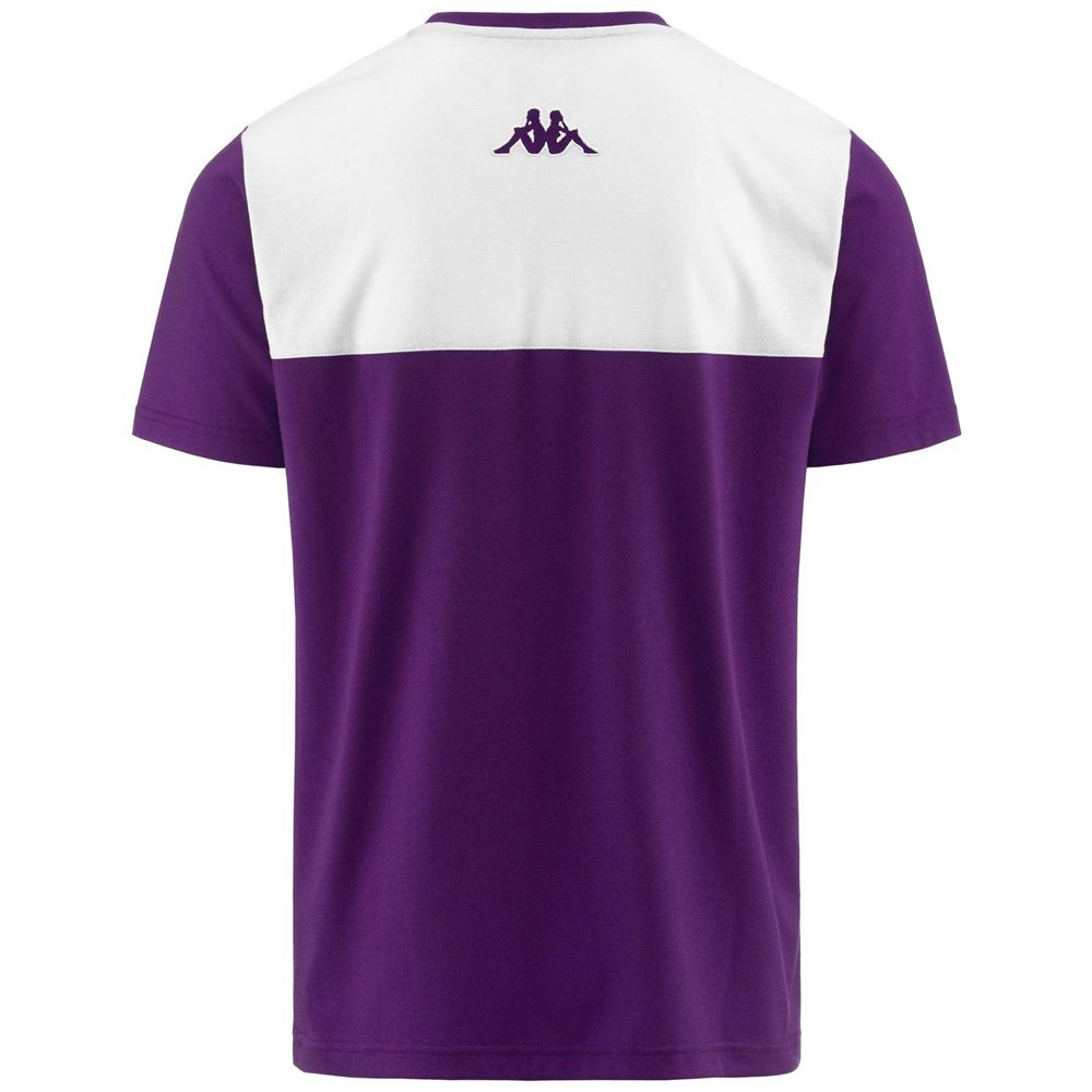 Men Kappa Faraschi Fiorentina T-Shirt Purple | LC6159082