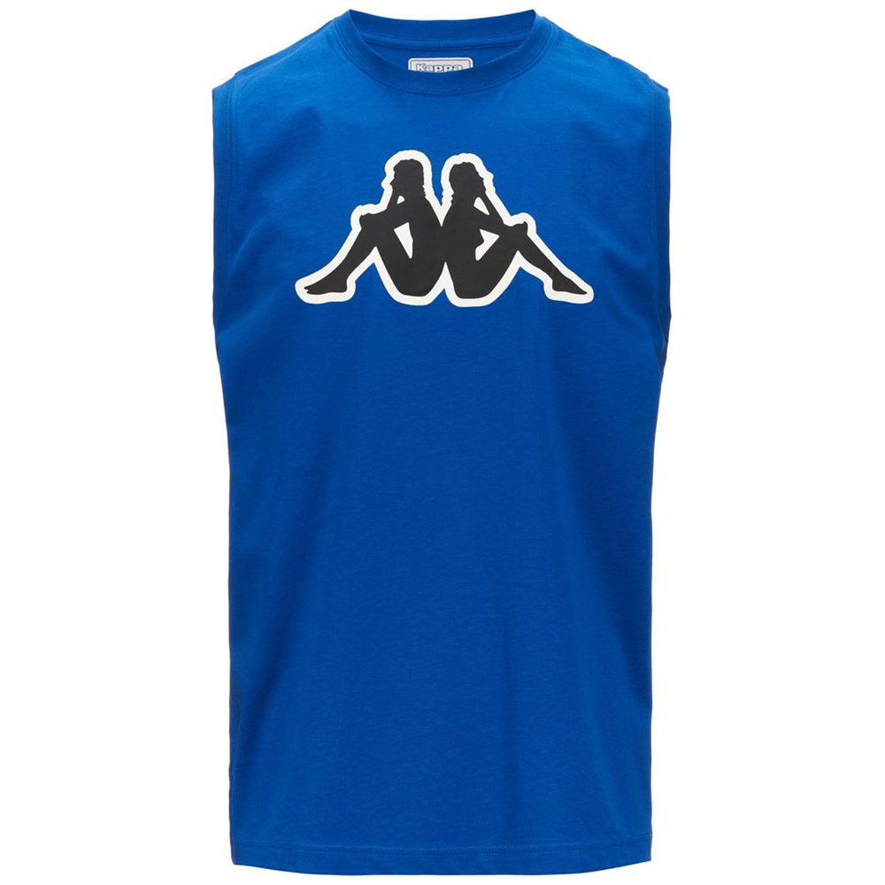 Men Kappa Logo Dwal T-Shirt Blue | HY5091647