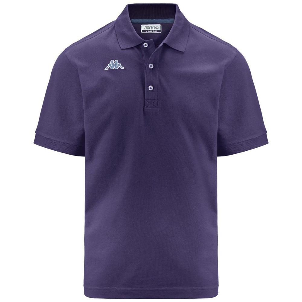 Men Kappa Logo Holiver Mss Polo Shirt Purple | WE9204738