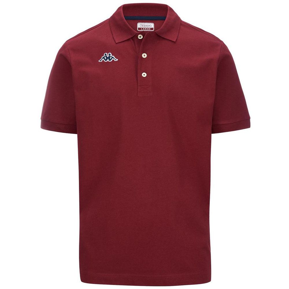 Men Kappa Logo Holiver Mss Polo Shirt Red | XB7129064