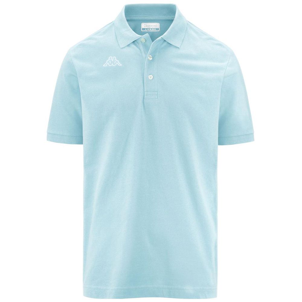 Men Kappa Logo Life Mss Polo Shirt Blue | AF1780693