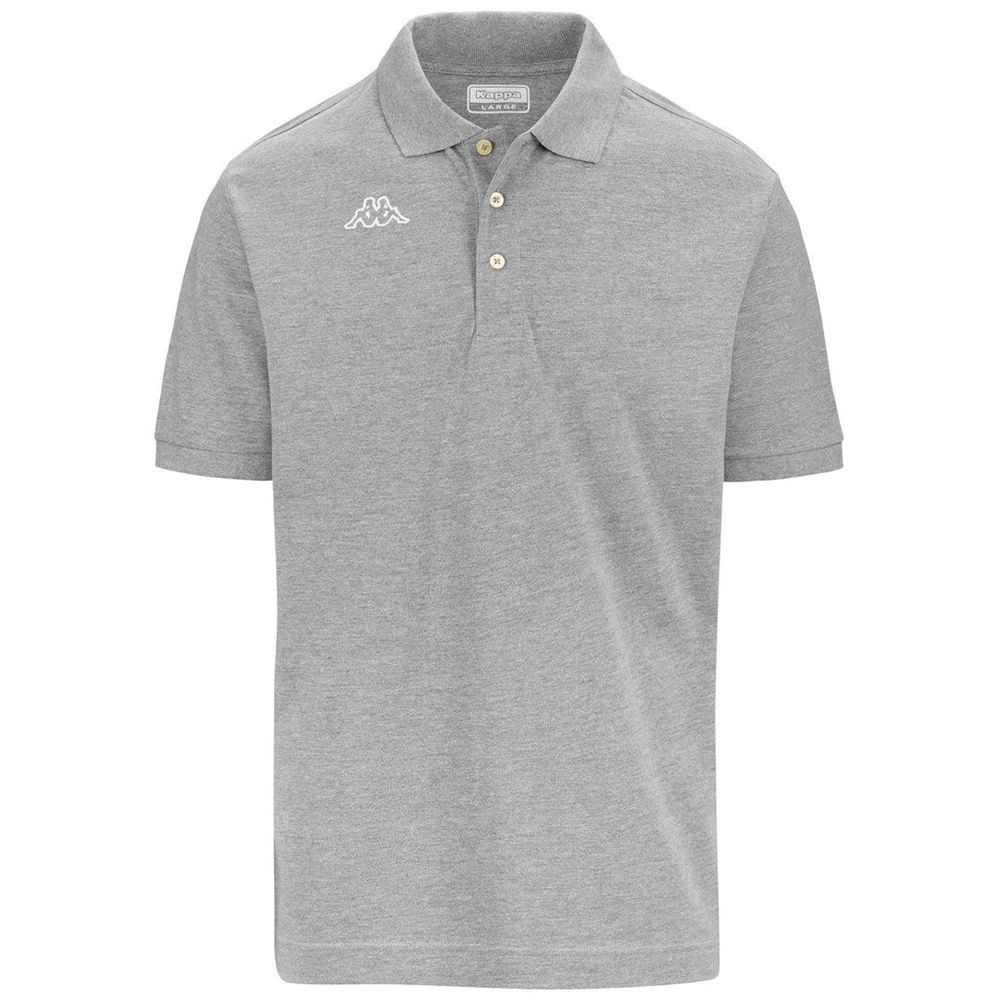 Men Kappa Logo Life Mss Polo Shirt Grey | TY5879026