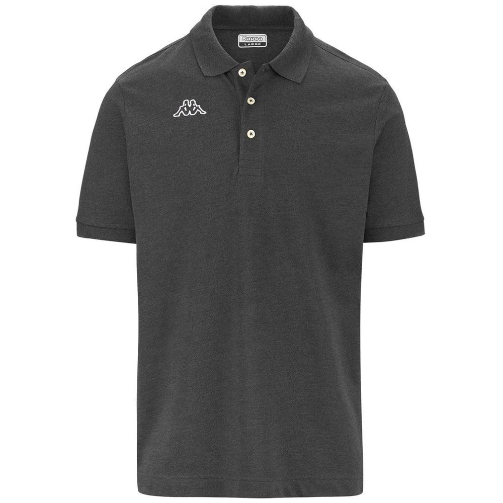 Men Kappa Logo Life Mss Polo Shirt Grey | OF6754982